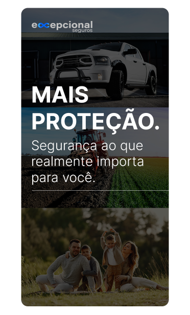 imagem-2